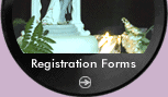 Professional DJ | Registration Forms